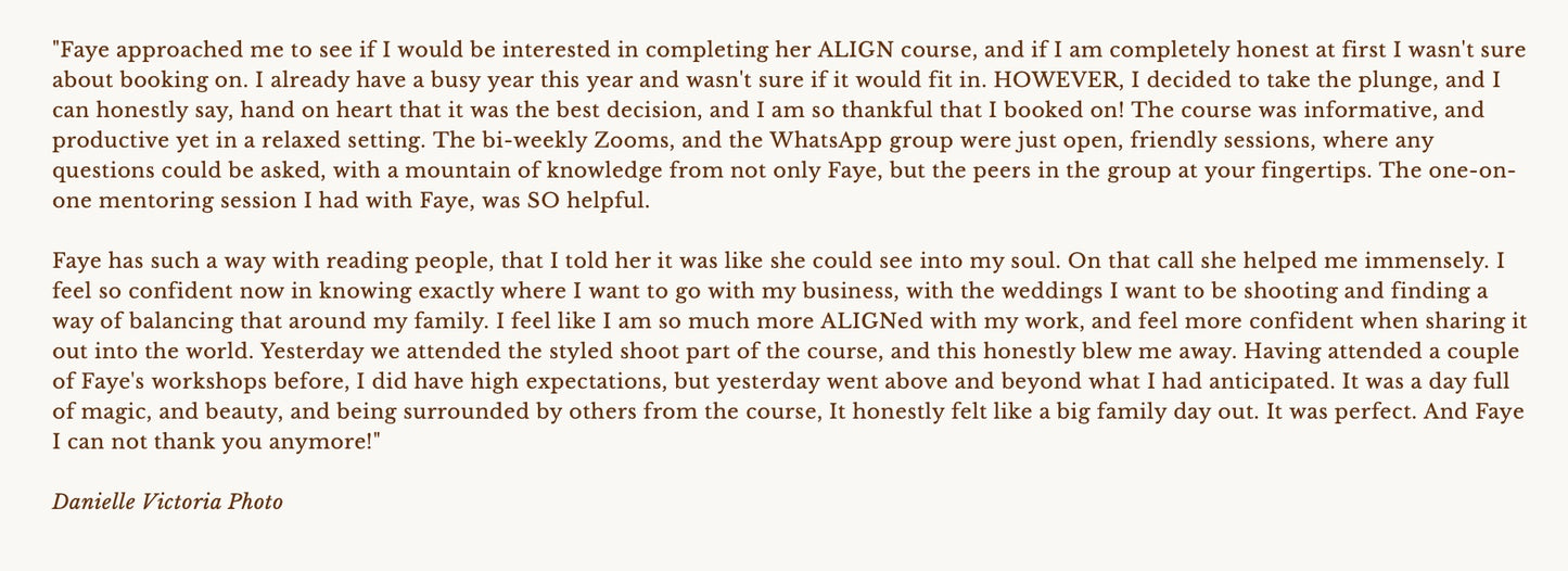 ALIGN: The photography course to build a business you love by Faye wilde