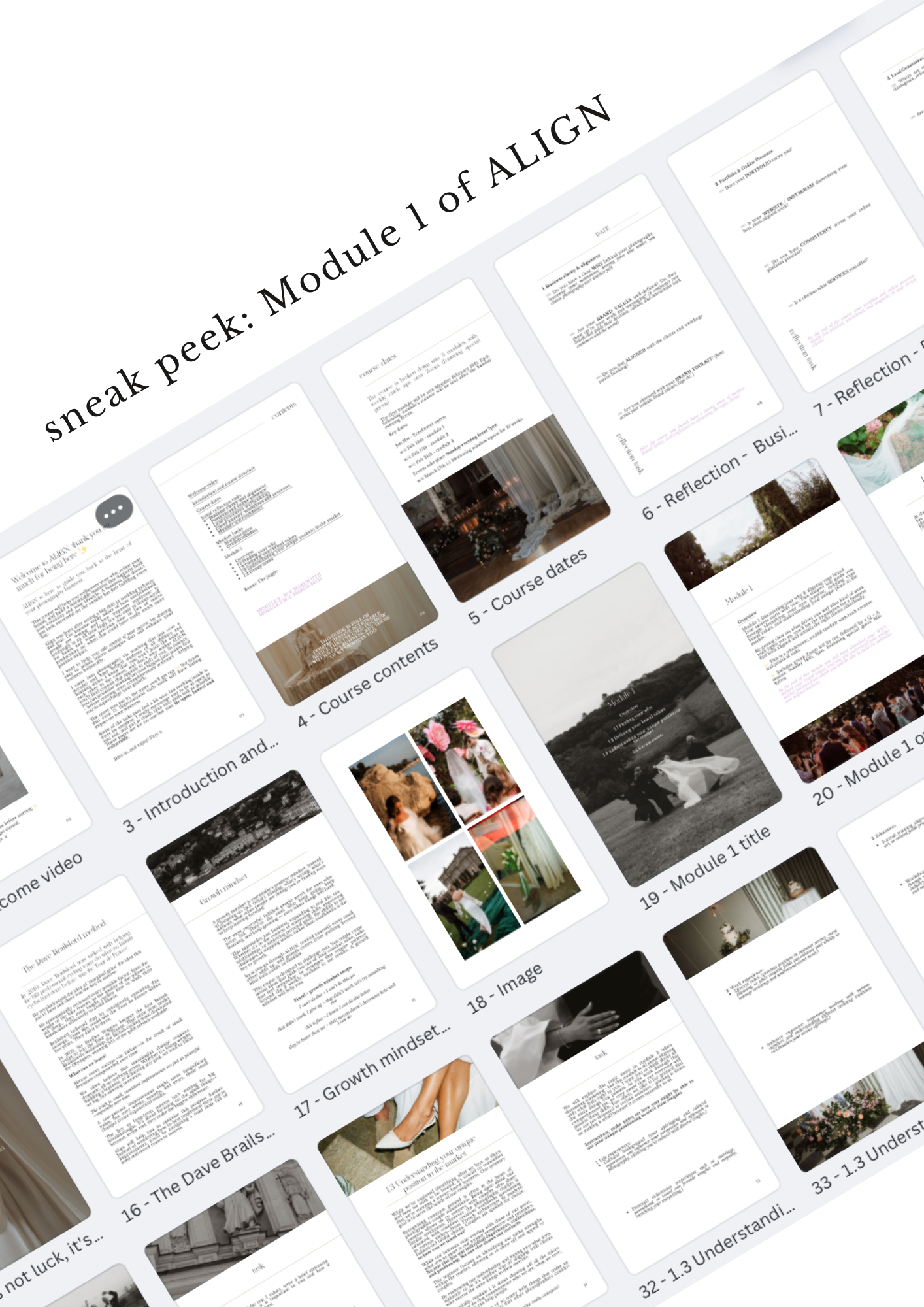 ALIGN: The photography course to build a business you love by Faye wilde