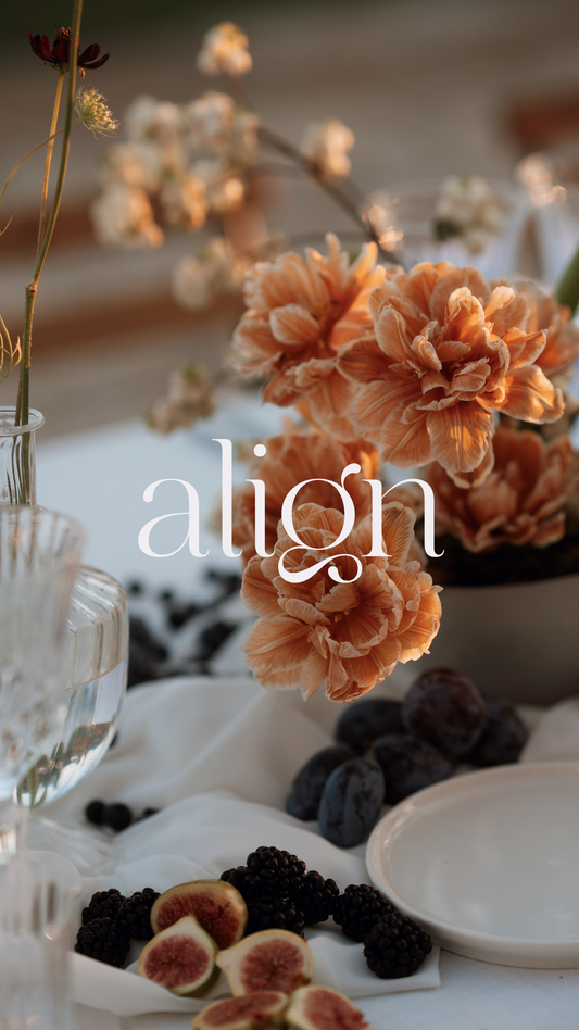 ALIGN: The photography course to build a business you love by Faye wilde